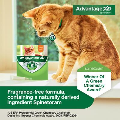 Small Cat Treatment, 1 count