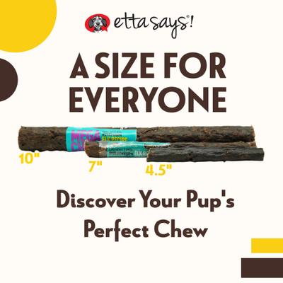 10" MEGA Premium Crunchy Buffalo Dog Chew Treats