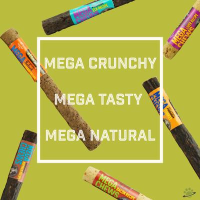 10" MEGA Premium Crunchy Buffalo Dog Chew Treats