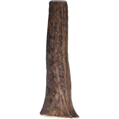 Masticable para perros de asta de alce entera salvaje, tamaño pequeño