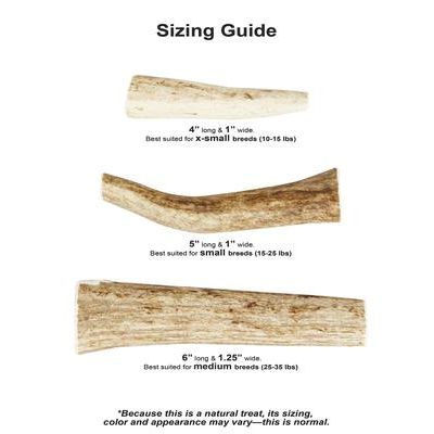 Masticable para perros de asta de alce entera salvaje, tamaño pequeño