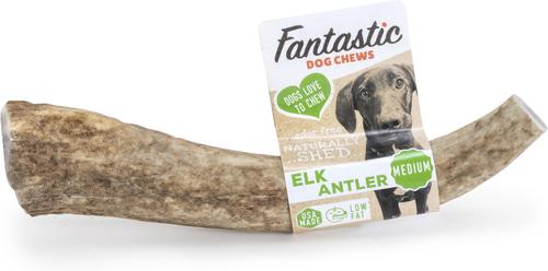 Elk Antler Dog Treat, Medium