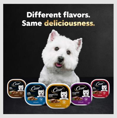 Puppy Classic Loaf in Sauce Chicken & Beef Recipe Small Breed Wet Dog Food Trays, 3.5-oz, case of 24