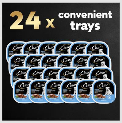 Puppy Classic Loaf in Sauce Chicken & Beef Recipe Small Breed Wet Dog Food Trays, 3.5-oz, case of 24