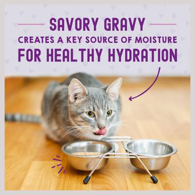 Carnivore Cravings Morsels'N'Gravy Chicken & Salmon Recipe, 2.8-oz pouch, case of 12