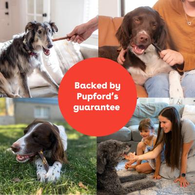 Beef Collagen Stick, 10-oz bag, 10 count