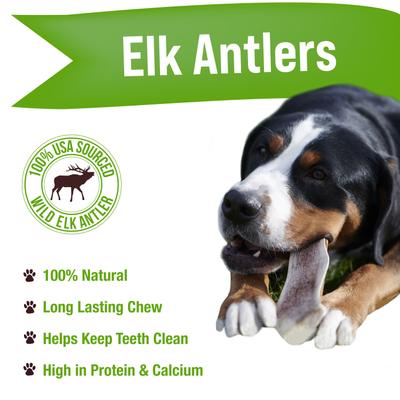 Jumbo Split Elk Antler Dog Treats