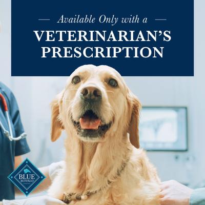 HF Hydrolyzed for Food Intolerance Salmon Recipe Wet Dog Food, 12.5-oz can, 12 count