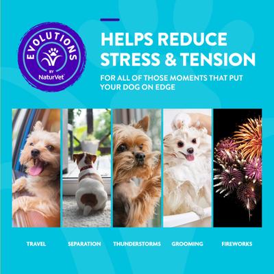 Evolutions Advanced Calming Soft Chews Dog Supplement, 90 count