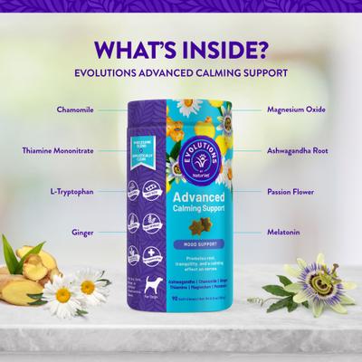 Evolutions Advanced Calming Soft Chews Dog Supplement, 90 count