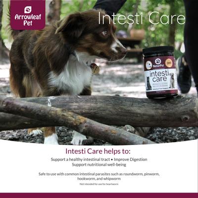 Intesti Care Digestive & Deworming Support for Cats & Dogs, 165-g powder