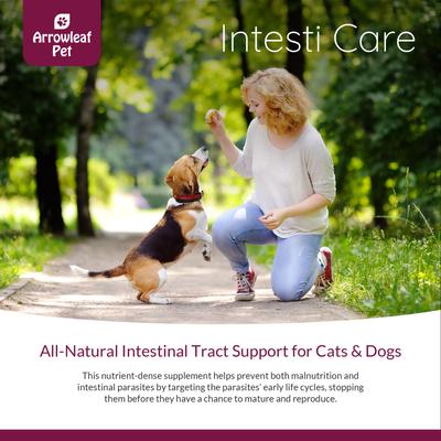 Intesti Care Digestive & Deworming Support for Cats & Dogs, 165-g powder