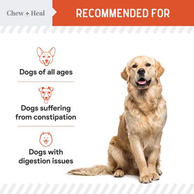 Organic Pumpkin Digestive Defense Superfood Blend Powder Digestive Aid Supplement for Dogs, 16-oz jar