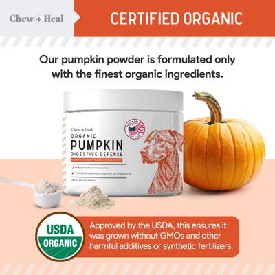 Organic Pumpkin Digestive Defense Superfood Blend Powder Digestive Aid Supplement for Dogs, 16-oz jar