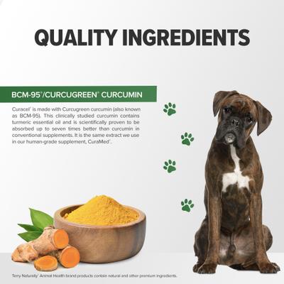 Curacel Curcumin Optimal Cellular Support Dog Supplement, 60 count