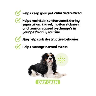 Bites Day Calm Supplement Turkey Flavored Soft Chews, 60 count