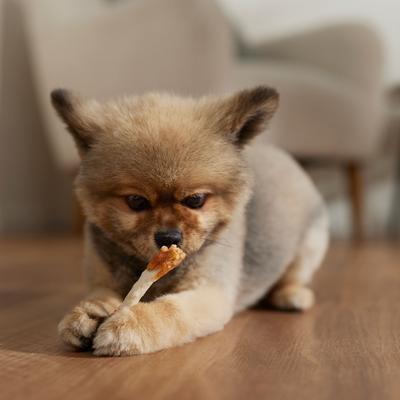 DogLicious 3" Munchy Stick Chicken Dumbbells Rawhide Dog Treats