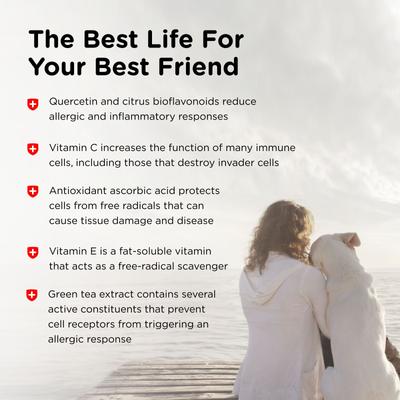 Allerg-Eze Chewable Tablets Respiratory Supplement for Dogs, 60 count