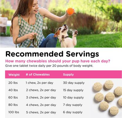 Allerg-Eze Chewable Tablets Respiratory Supplement for Dogs, 60 count