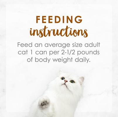 Medleys Tender Turkey Tuscany Canned Cat Food, 3-oz, case of 24