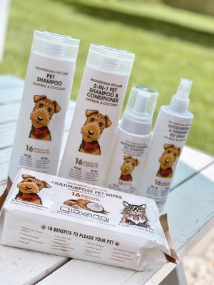 Professional Oatmeal & Coconut 2-in-1 Dog Shampoo & Conditioner, 16-fl oz bottle