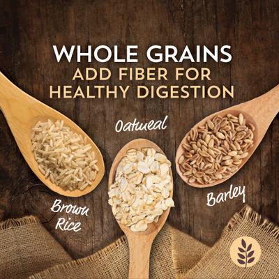 Sensitive Skin & Stomach Salmon & Rice Dry Cat Food, 10-lb bag