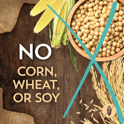 Sensitive Skin & Stomach Salmon & Rice Dry Cat Food, 10-lb bag