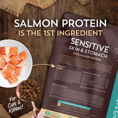 Sensitive Skin & Stomach Salmon & Rice Dry Cat Food, 10-lb bag