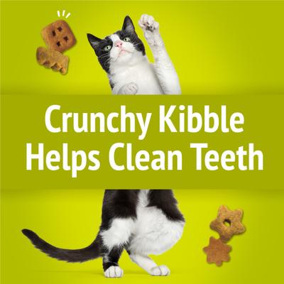 Party Mix Morning Munch Crunch Flavor Crunchy Cat Treats, 2.1-oz bag