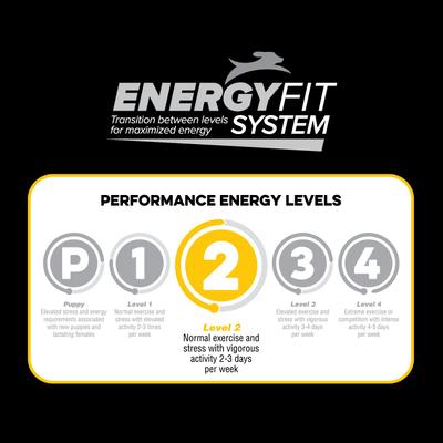 Level 2 Chicken Flavor Dry Dog Food, 40-lb bag