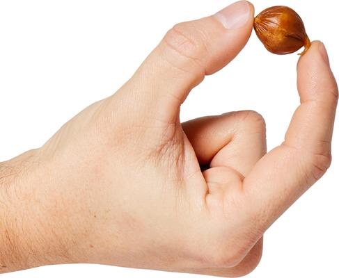 Slow Roasted Pork Pearls Soft & Chewy Dog Treats, 10-oz bag