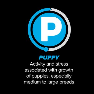 Puppy Chicken Flavor Dry Dog Food, 20-lb bag