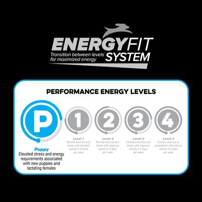 Puppy Chicken Flavor Dry Dog Food, 20-lb bag