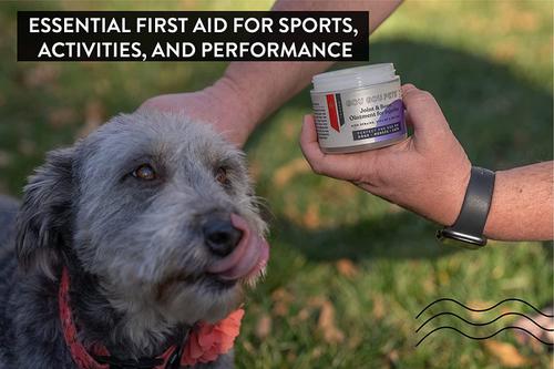 Joint & Bone Ointment for Injuries Dog, Cat & Horse Cream, 2-fl oz bottle