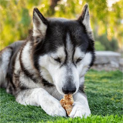 Smoked Beef Trachea Bites Dog Treats, 8-oz