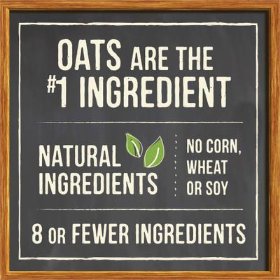 Oven Baked Pumpkin Patch with Real Pumpkin Dog Treats, 11-oz bag