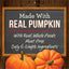 Oven Baked Pumpkin Patch with Real Pumpkin Dog Treats, 11-oz bag
