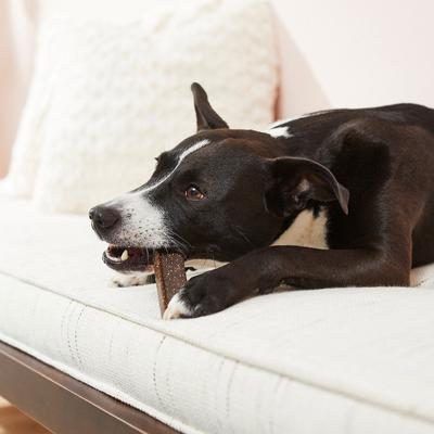 Bundle: Virbac C.E.T. VeggieDent Fr3sh Tartar Control Chews + Benebone Multipack Durable Chew Toy for Dogs