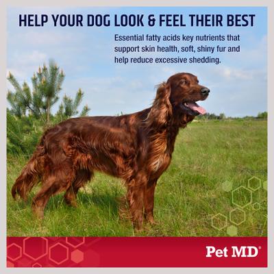 Omega 3-6-9 Select Soft Chews with Krill Dog Supplement, 120 count