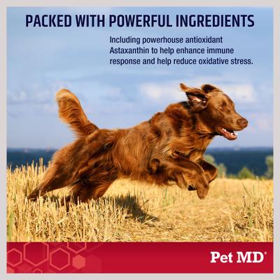 Omega 3-6-9 Select Soft Chews with Krill Dog Supplement, 120 count