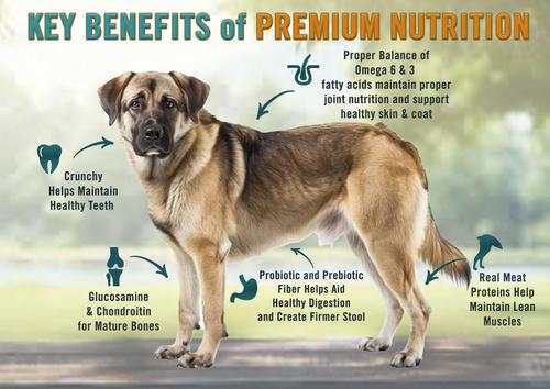 Mature & Senior Chicken, Turkey & Brown Rice Recipe Dry Dog Food, 28-lb bag