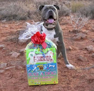 'Good Dog' Basket Variety Pack Crunchy Dog Treats