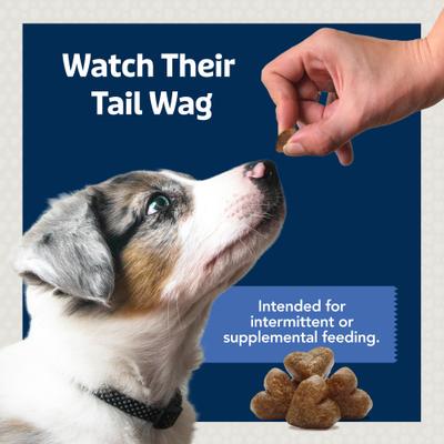 To-Go Bits Tasty Chicken Recipe Dog Treats, 12 count