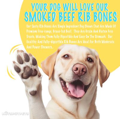 6-in Beef Rib Bones Dog Chew Treats, 24 count