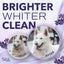 Spa White Coat Dog & Cat Shampoo, Luxurious Lavender Scent, 1-gal bottle