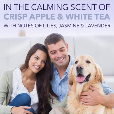 Spa White Coat Dog & Cat Shampoo, Luxurious Lavender Scent, 1-gal bottle