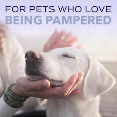 Spa White Coat Dog & Cat Shampoo, Luxurious Lavender Scent, 1-gal bottle