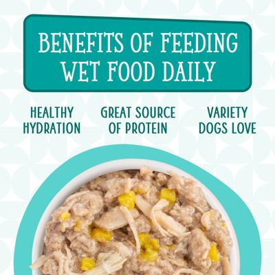 Dogs in the Kitchen Funk in the Trunk with Chicken Breast & Pumpkin Au Jus Grain-Free Canned Dog Food, 10-oz can, 12 count