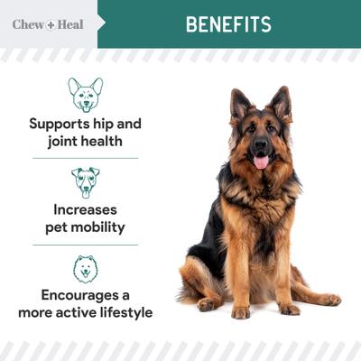 Green Lipped Mussel Powder Joint & Ligament Health Supplement for Dogs & Cats, 2-oz jar