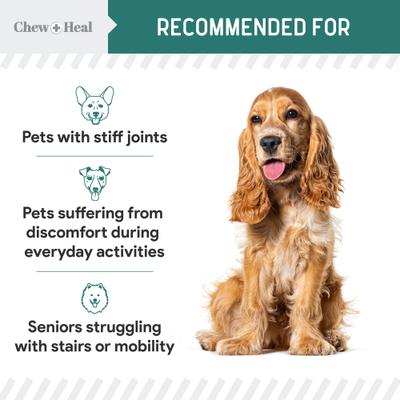 Green Lipped Mussel Powder Joint & Ligament Health Supplement for Dogs & Cats, 2-oz jar